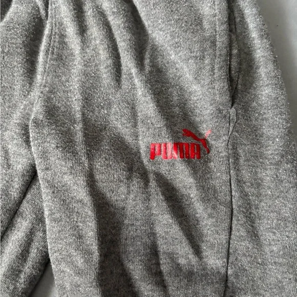 Puma Kids Gray Hoodie Set with Red Logo - Picture 4 of 6